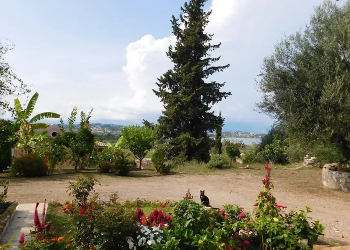 Olga's Hill *