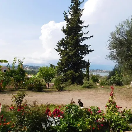 Olga's Hill *