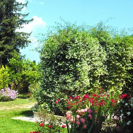 Olga's Hill Holiday home *