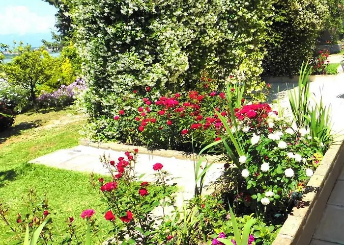 別荘 Olga's Hill *