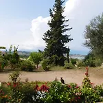 Olga's Hill *