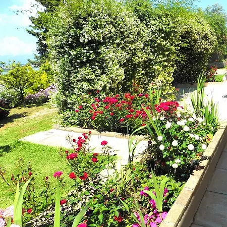 Hébergement de vacances Olga's Hill *